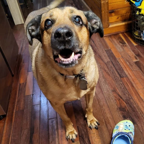 PLSreadBEFOREbuying! - Picture 11 of 12